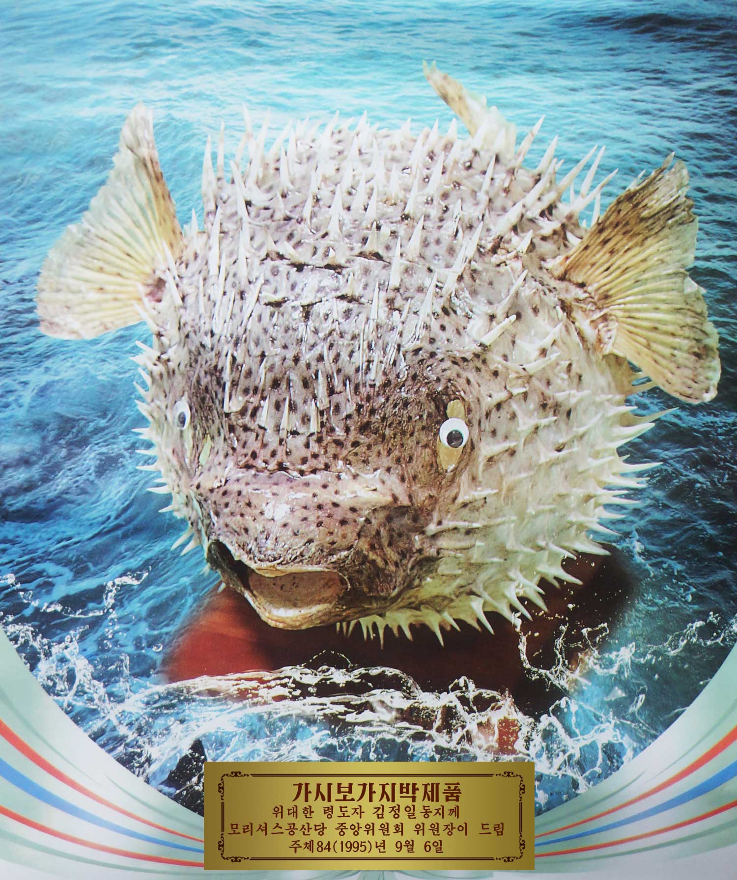 8-위대한 령도자 김정일동지께 드린 선물