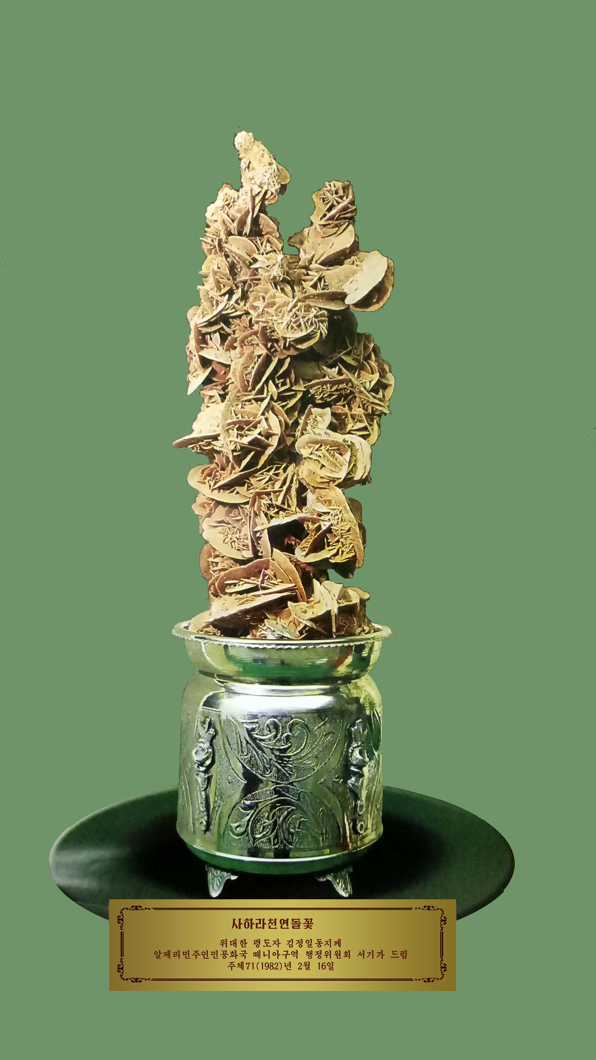 11-위대한 령도자 김정일동지께 드린 선물