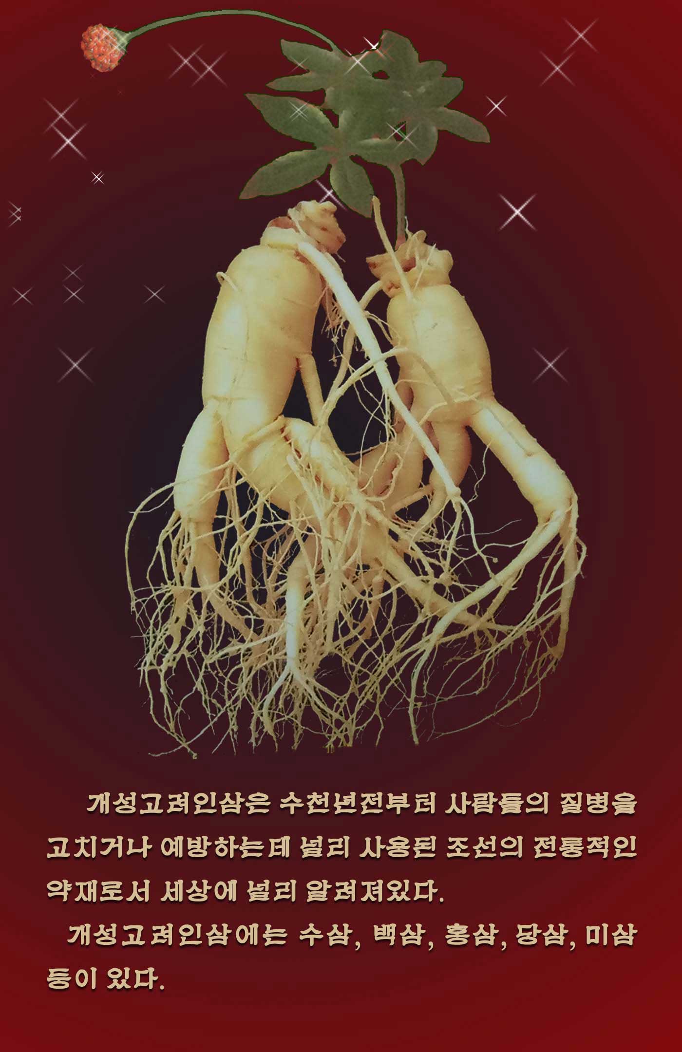 1-조선특산 개성고려인삼