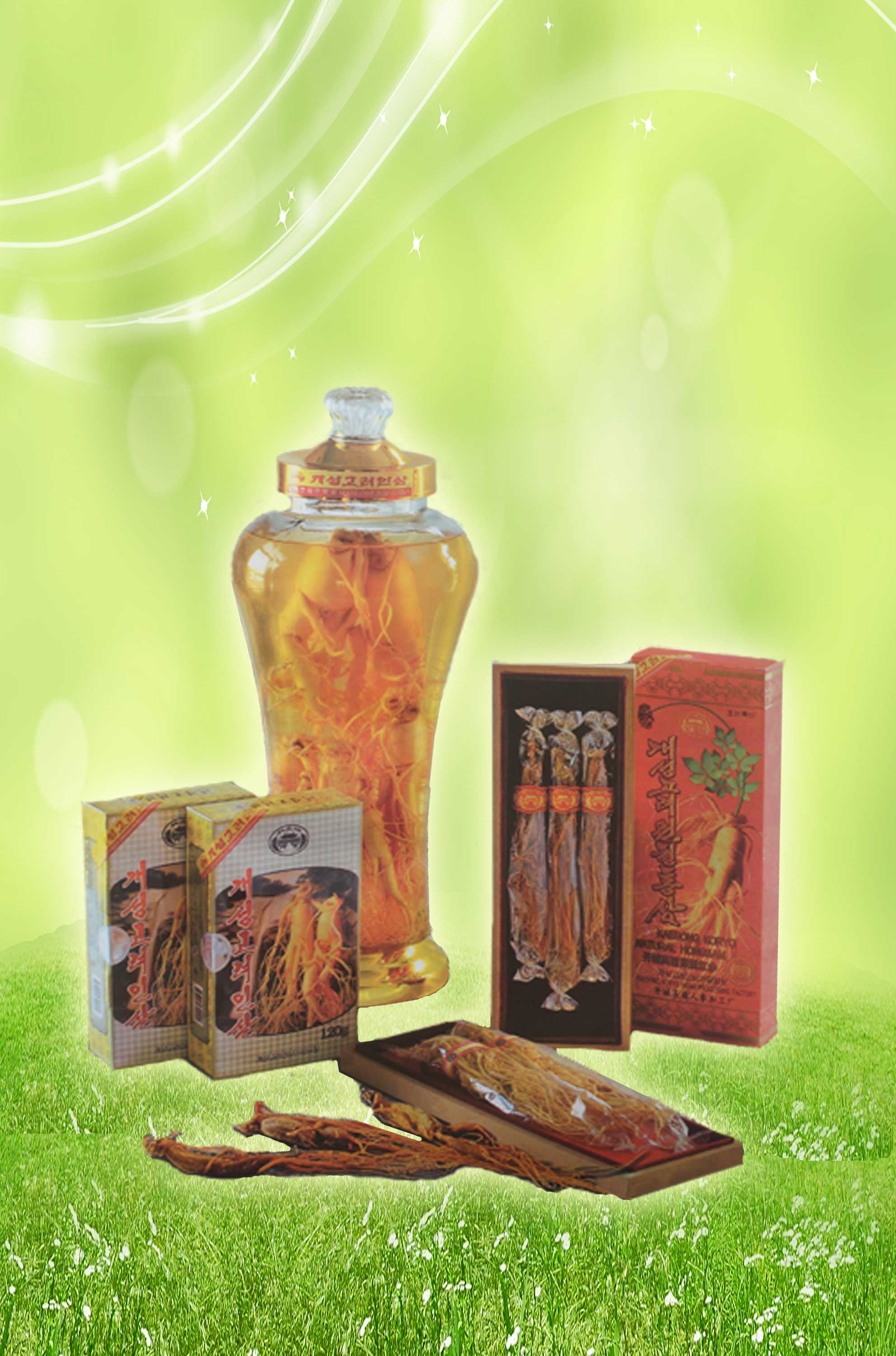 5-조선특산 개성고려인삼