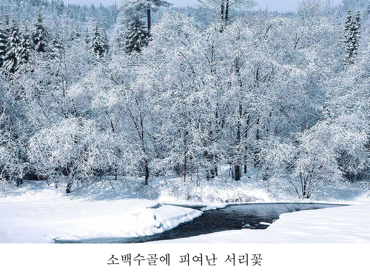 4-소백수골8경