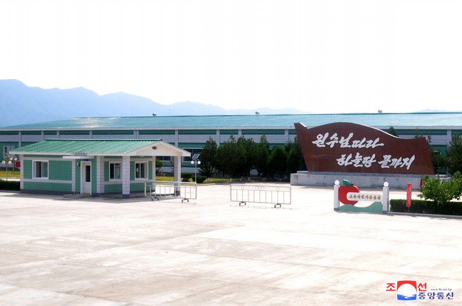 0-고산과일가공공장 