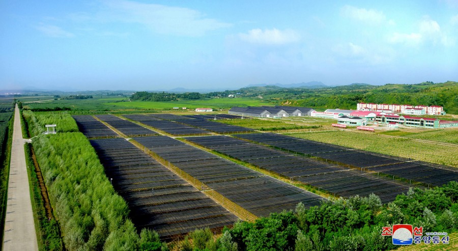 0-평안북도양묘장 