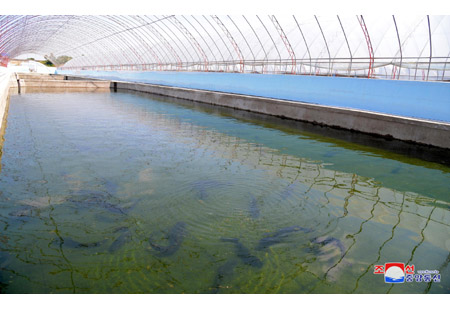 1-린산메기공장