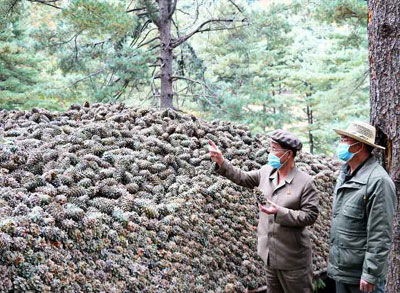 0-《황금산타령》을 부르며