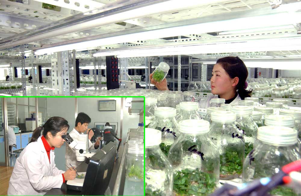 0-식량문제해결을 위한 투쟁