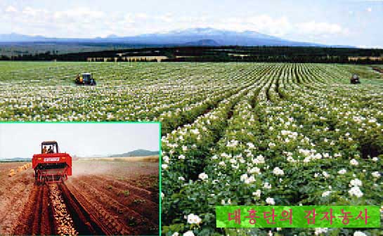 1-식량문제해결을 위한 투쟁