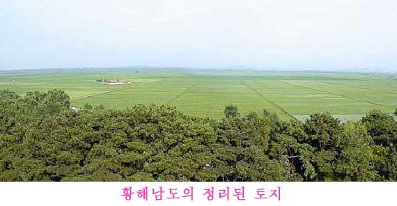 2-식량문제해결을 위한 투쟁