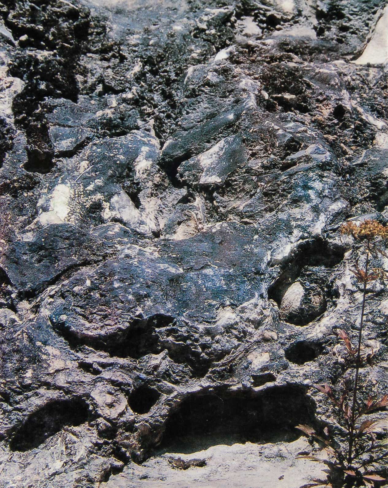 0-검은모루유적 근경