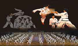 Taekwon-Do