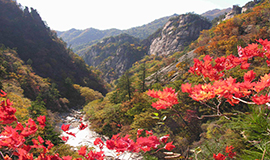 명승이 많은 아름다운 조선