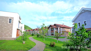 乐园浦的美丽仙境