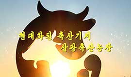 현대화된 축산기지 삼광축산농장