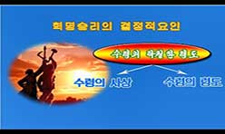 17. Закономерности революционного движения